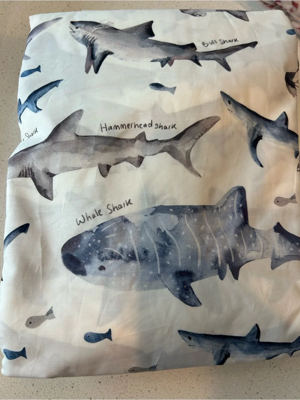 Pottery Barn Kids Heritage Shark Organic Sheet Set Full Size NWOT